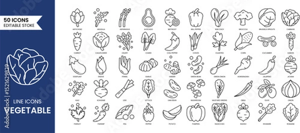 Fototapeta Vegetable line editable icon set. Containing mushroom, carrot, corn, eggplant, beetroot, potato, lettuce and more. Vector illustration