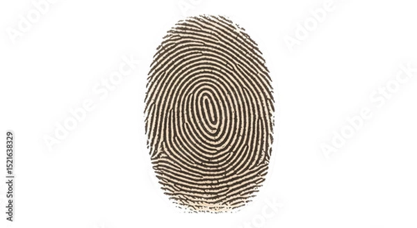Fototapeta Isolated Fingerprint Close-up Detailed Unique Pattern