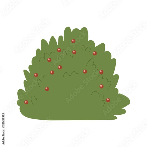 Fototapeta Decorative green plants in the form of garden shrubs, seasonal shrubs. To decorate a park, garden or green hedge.