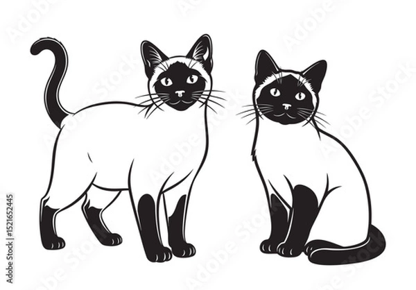 Obraz Black and white vector illustration of two Chocolate Point Siamese cats, one standing and one sitting. Elegant design perfect for prints, logos, and decor. Pet, Animal.