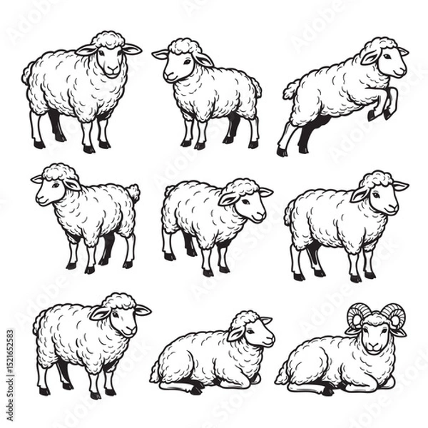 Obraz Vector set of sheep in multiple poses standing, grazing, jumping, and lying down. Great for farm graphics, mascots, logos, or children’s illustrations. Farm animals.