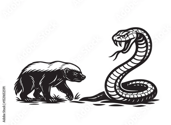Obraz A fierce mongoose confronts a venomous cobra in a tense black and white vector illustration. Bold lines, perfect for prints, logos, or tattoos.  Wildlife Animals.