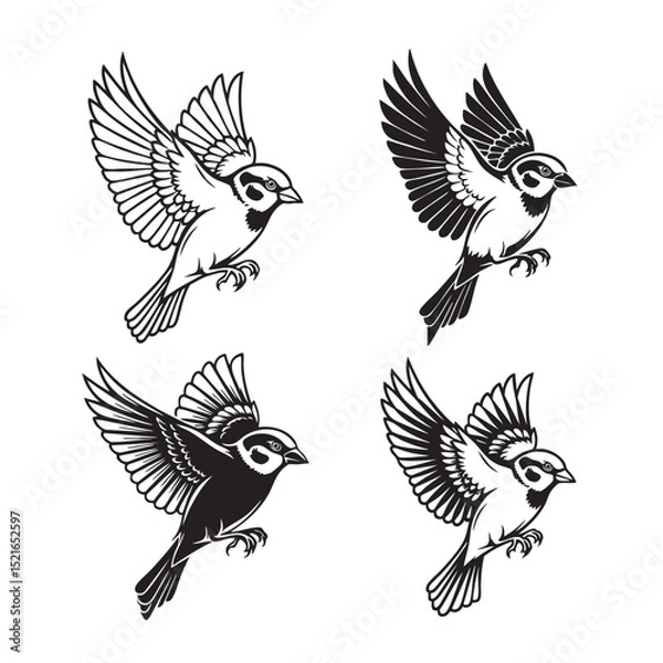 Obraz Set of four flying sparrows in black and white vector style. Beautiful detailed illustrations perfect for prints, logos, stickers, and tattoo designs. Birds are flying.