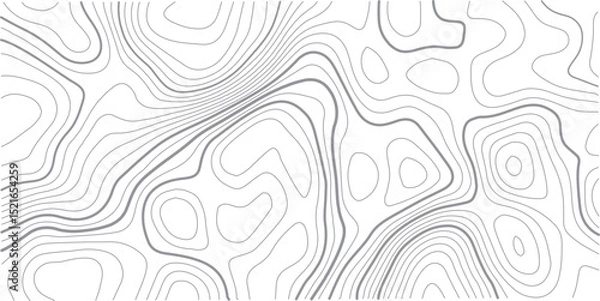 Fototapeta Topographic map background. Grid map. Pattern of contour lines. Abstract vector illustration.