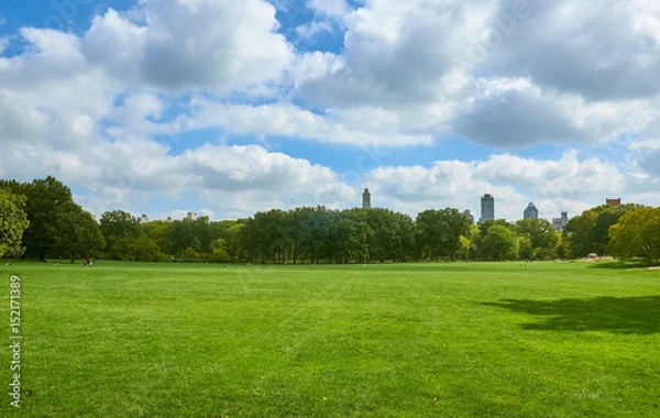 Fototapeta Empty large green lawn in Central Park with skyscrapers in the background