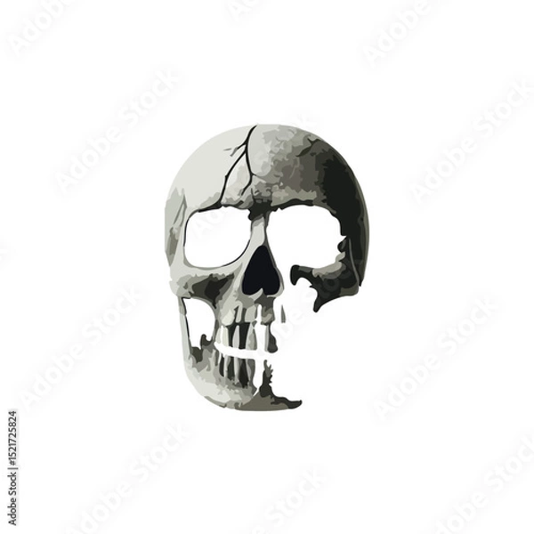 Obraz  BROKEN SKELETON HEAD VECTORS