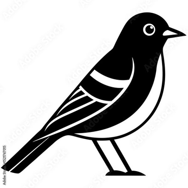 Fototapeta bird on a branch