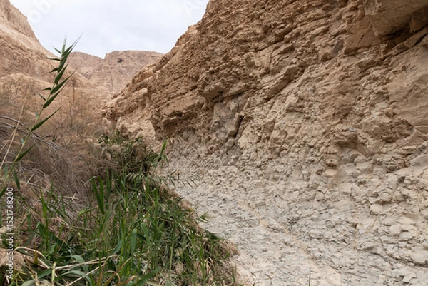 Fototapeta The extraordinary  splendor of a nature in Arugot Stream Nature Reserve near Dead Sea in the southern Israel