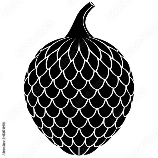 Fototapeta vector illustration of an apple