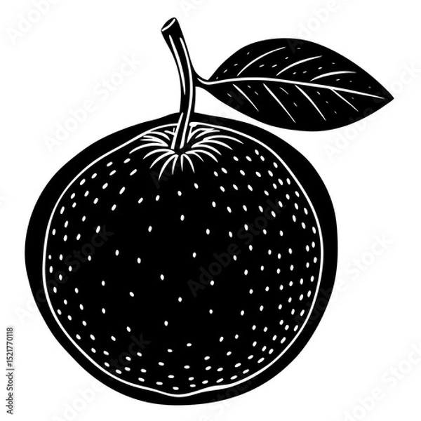 Fototapeta vector illustration of an apple