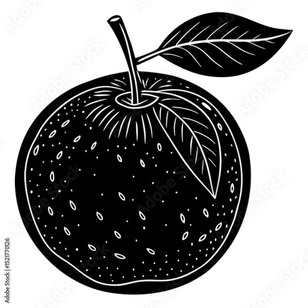 Fototapeta vector illustration of an apple
