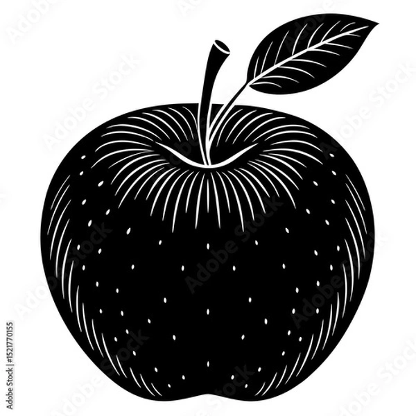 Fototapeta vector illustration of an apple