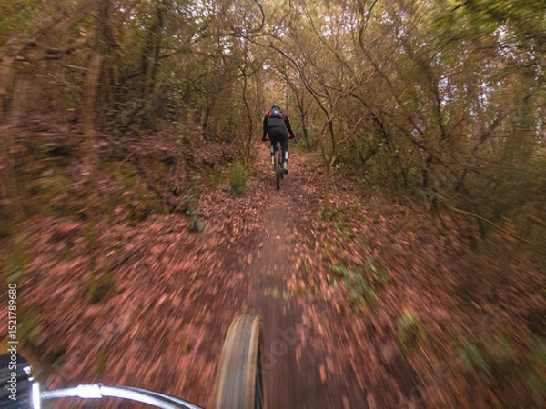 Fototapeta Chasing another rider on a cross country mountain bike race rider point of view inside a forest on a mountain bike trail