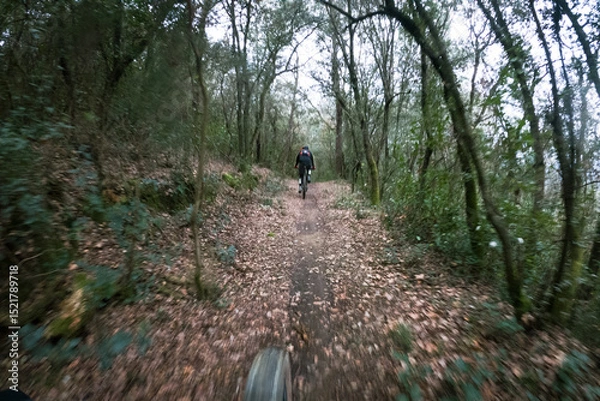 Fototapeta Chasing another rider on a cross country mountain bike race rider point of view inside a forest on a mountain bike trail