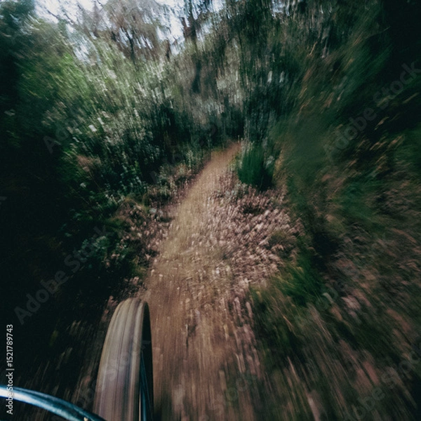 Fototapeta Riding a mountain bike fast on a single track in the middle of the forest front wheel and ground point of view