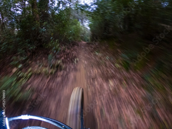 Fototapeta Riding a mountain bike fast on a single track in the middle of the forest front wheel and ground point of view