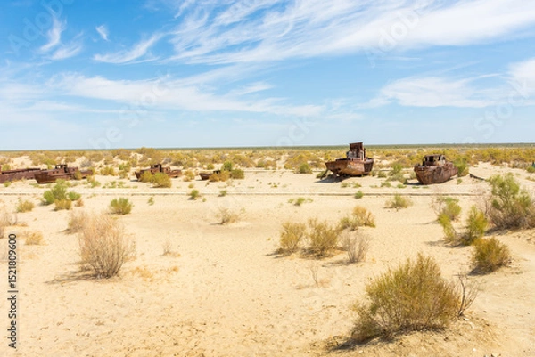 Obraz Rusting shipwrecks on what used to be the seabed of the Aral Sea. Moynaq,  Uzbekistan