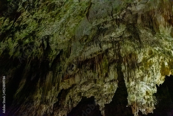 Obraz Exploring beautiful Postojna cave in Slovenia the most visited european cave.  Thousands of stalagmites and stalactites