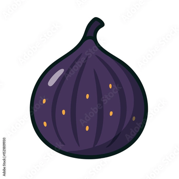 Obraz Flat vector illustration of a fig.