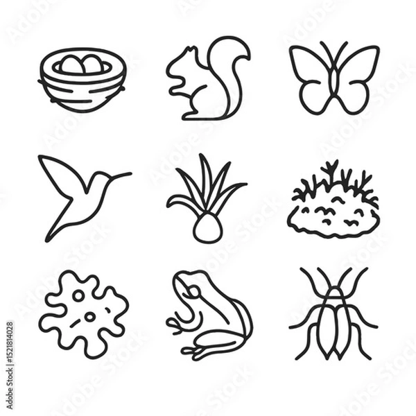 Fototapeta Wildlife Canopy Icons. Outline icon set of wildlife spotting from canopy: bird’s nest, squirrel silhouette, butterfly, hummingbird
