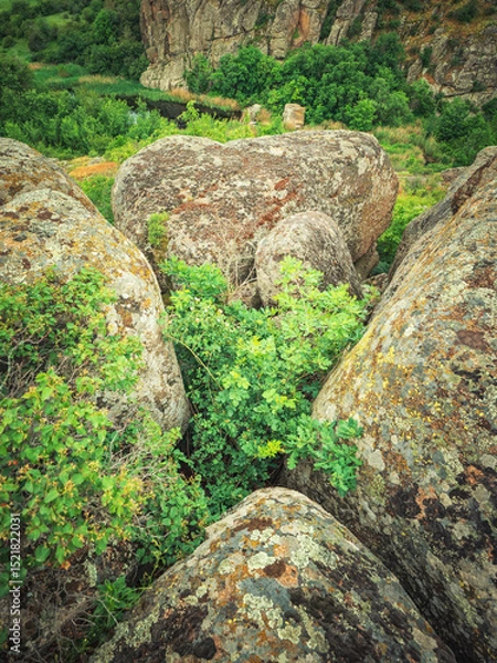 Obraz portrait view to stones and green plants in canyon 