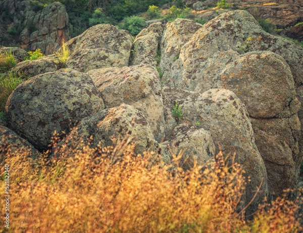 Obraz abstract view to granite boulders and golden grass in close up view