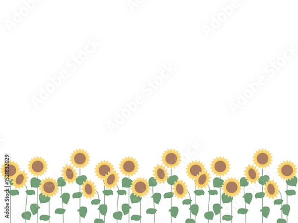 Obraz 複数のひまわりの花背景フレームイラスト