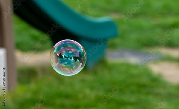 Obraz Single soap bubble with iridescent rainbow colors reflecting garden landscape floating in mid-air against blurred green yard background. Concept of summer childhood memories.