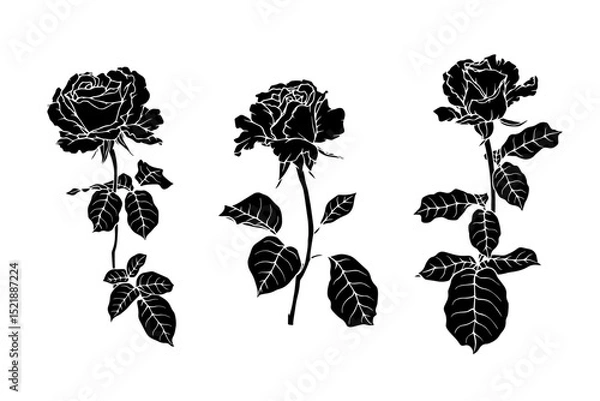 Fototapeta Set of stamps, silhouettes of rose flowers. Simple botanical elements. Vector graphics.