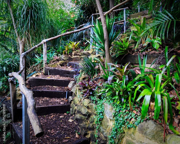 Obraz Hiking path in Australia