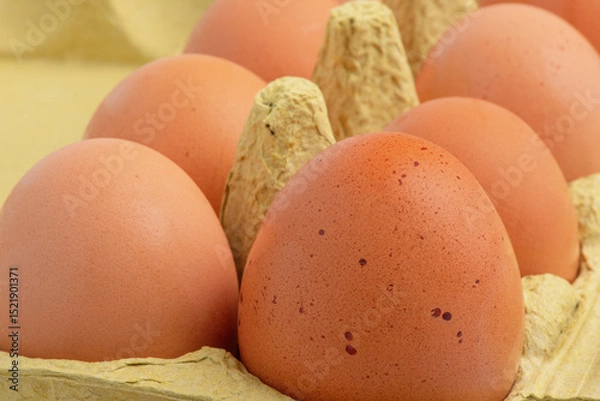 Fototapeta Eggs in a cardboard box macro photo.