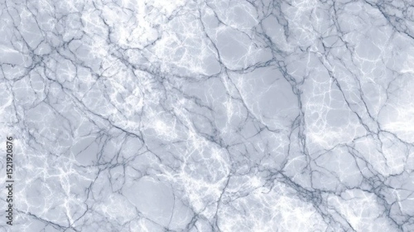 Obraz High-Resolution Marble Texture Elegant Gray Veining Background