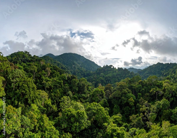 Fototapeta Breathtaking panorama of tropical forest landscape, showcasing lush greenery and distant mountains under cloudy sky, evoking sense of tranquility and connection to nature