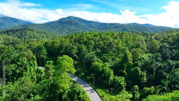 Obraz Drone aerial view shows a winding road cutting through dense green forest, highlighting the integration of transportation infrastructure within natural landscapes. Thailand.
