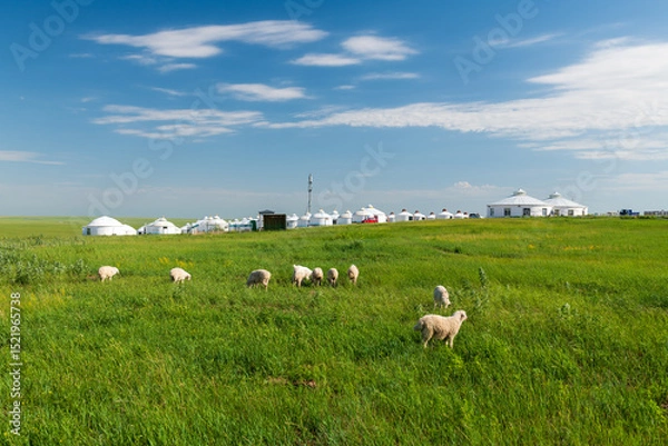 Fototapeta The landscape of sheep herds on the Horonor Grassland in Hulunbuir City, Inner Mongolia Autonomous Region, China