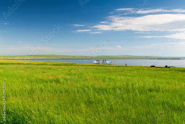 Fototapeta The scenery of Horonor Grassland in Hulunbuir City, Inner Mongolia Autonomous Region, China