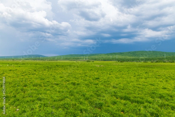 Fototapeta The scenery of Horonor Grassland in Hulunbuir City, Inner Mongolia Autonomous Region, China