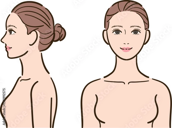 Obraz デコルテ・上半身　女性イラストセット（正面・横顔）