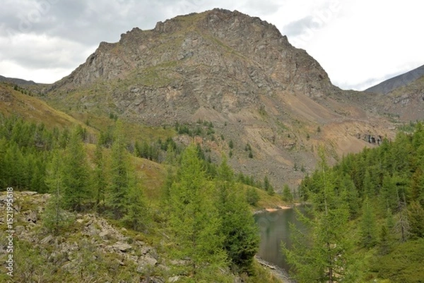 Obraz View from above on the bend of a small lake in a picturesque mountain valley surrounded by a coniferous forest on a cloudy summer day.