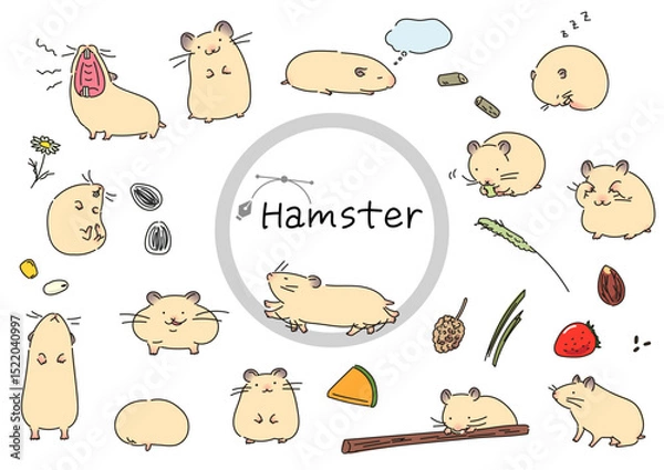 Obraz ゴールデンハムスターのイラストセットベクター線イラスト
