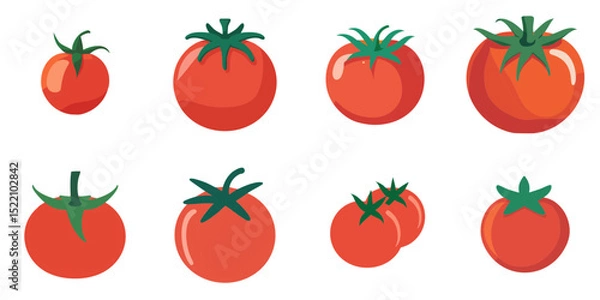 Obraz Multiple vector illustrations tomato, flat style

