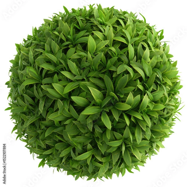 Obraz Lush Green Sphere of Fresh Leaves Ideal for Nature and Landscape Themes