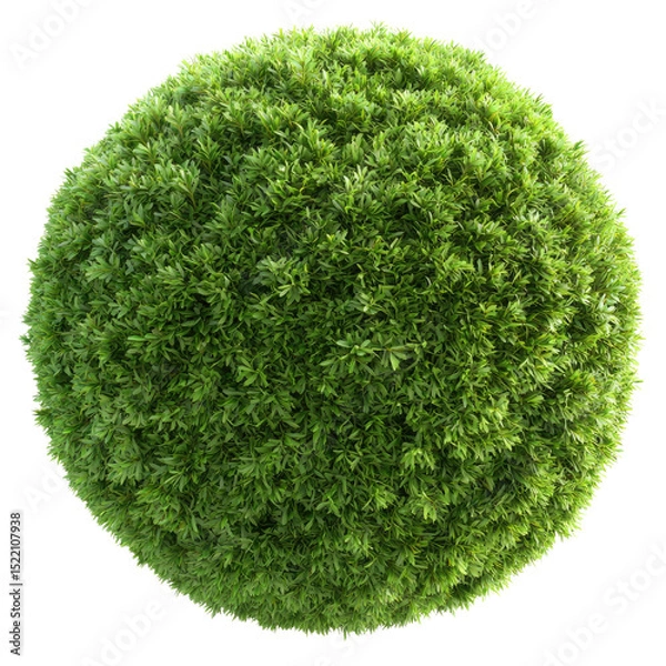 Obraz Lush Green Sphere of Dense Foliage for Natural Aesthetic Design