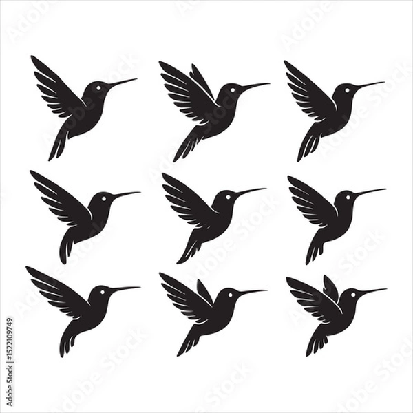 Fototapeta a set of six black silhouette illustrations of hummingbirds in flight. Each bird should feature unique wing positions and feather details, with elongated beaks and streamlined bodies.
