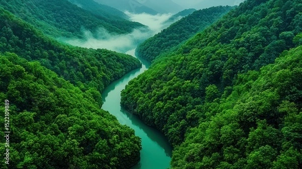 Obraz A winding river flows between verdant forested mountain slopes