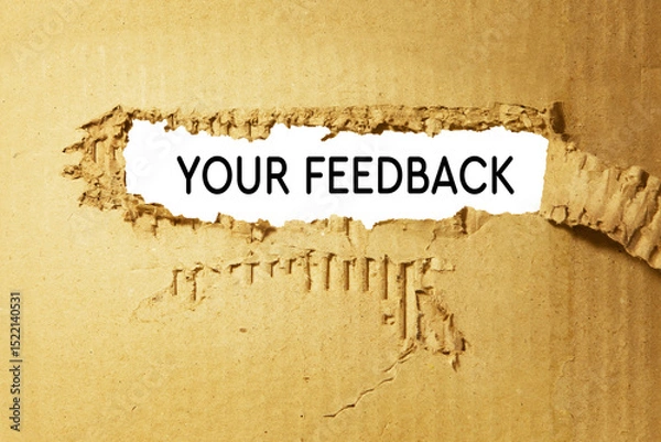 Fototapeta Feedback, text on torn cardboard paper with white background. 