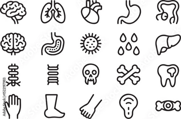 Fototapeta Medical organs line icon set. Vector pictograms of anatomy, body parts, kidney, bladder, pancreas, intestine, thyroid, pelvis, skeleton, joint, hand, nose, mouth, tongue, thin linear icon illustration