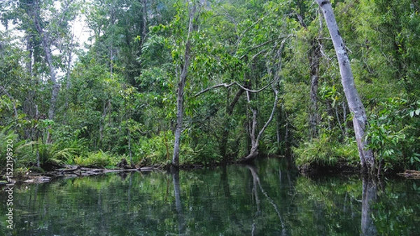 Fototapeta The river along the greenery rainforest from boat view in Surat Thani, Thailand