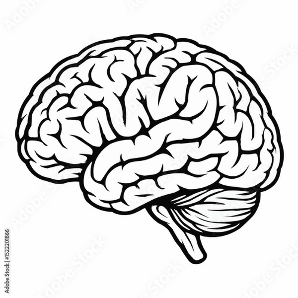 Fototapeta Brain Hand Drawn 