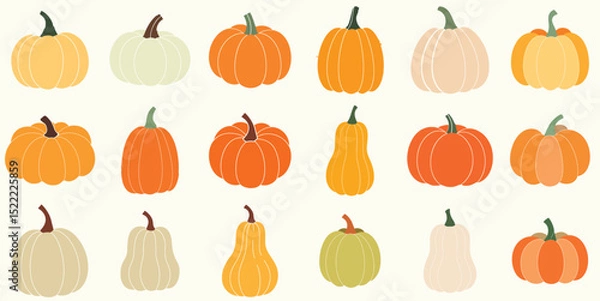 Obraz A delightful assortment of pumpkins and gourds showcases autumn's abundant harvest